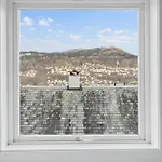 Bright 3-bedroom Near Center Bergen