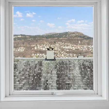 Bright 3-bedroom Near Center Bergen